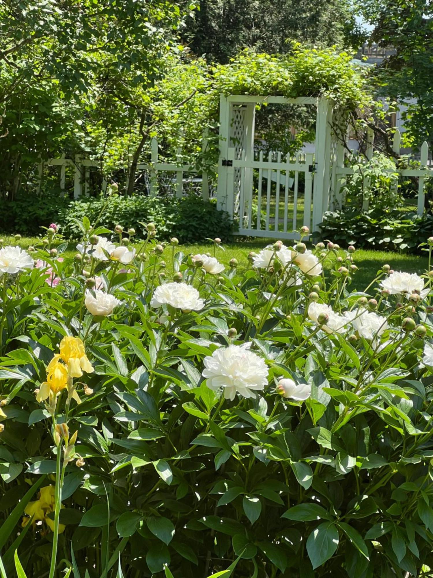 Les Trois Erables Boutique Inn ウェークフィールド エクステリア 写真